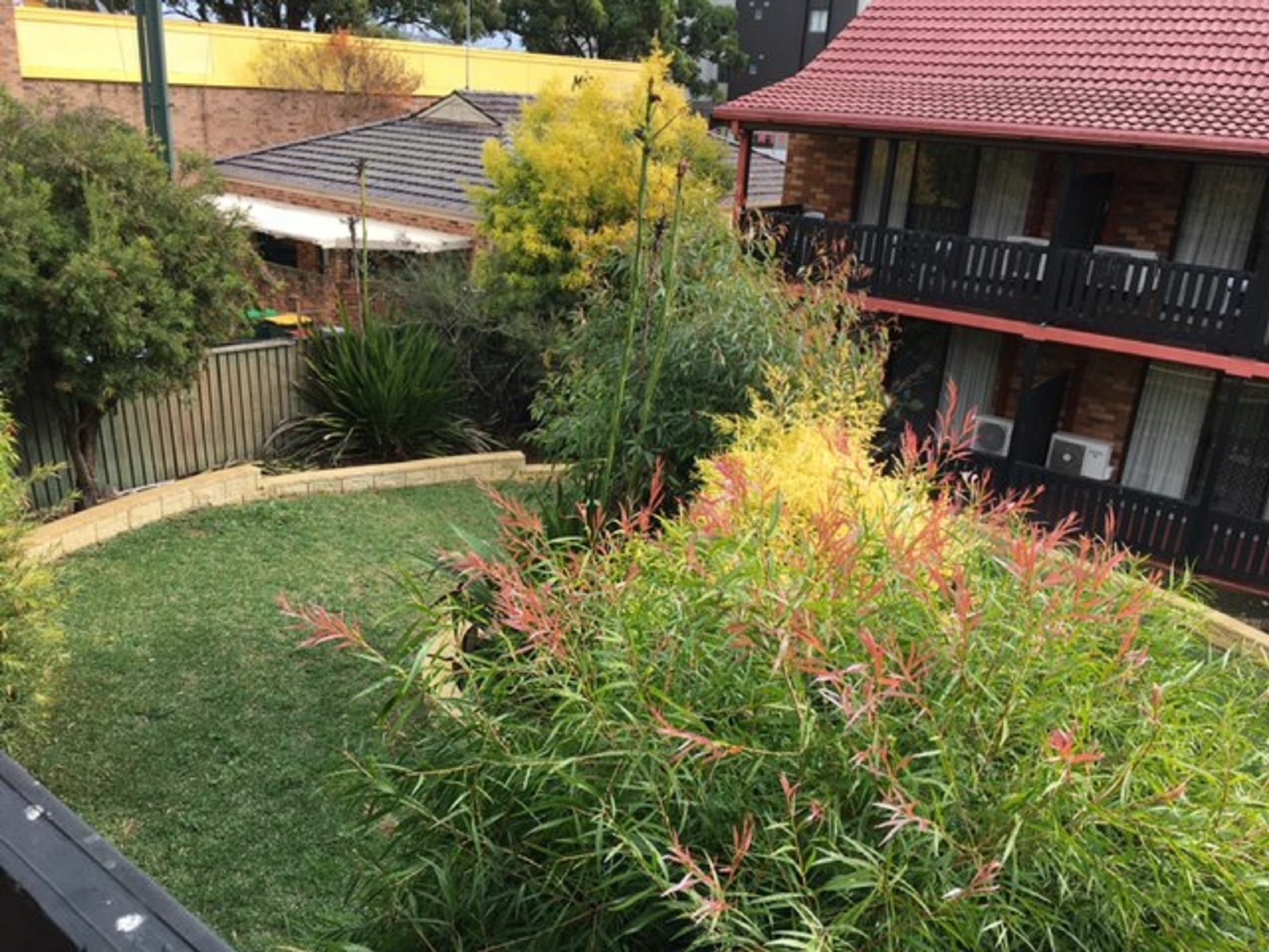 Maclin Lodge Motel Campbelltown Zewnętrze zdjęcie